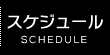 スケジュール